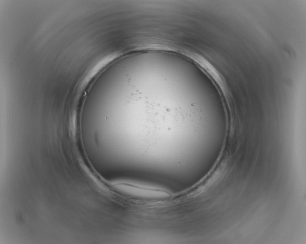 X0000114161293200910221600