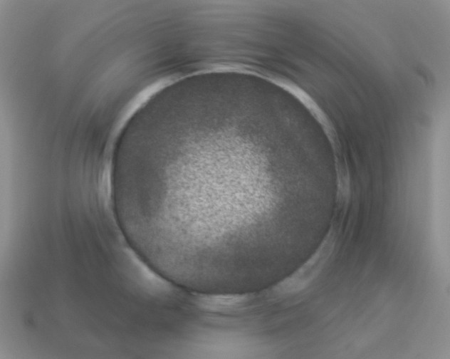 X0000114161294200910221600