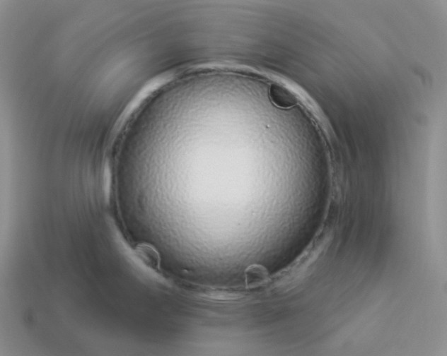 X0000114161295200910221600