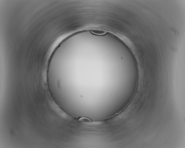 X0000114161296200910221600