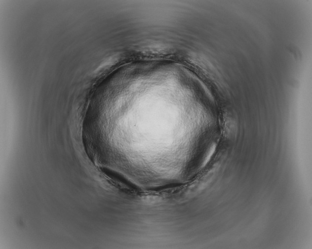 X0000114161297200910221559