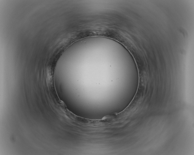 X0000114161298200910221559