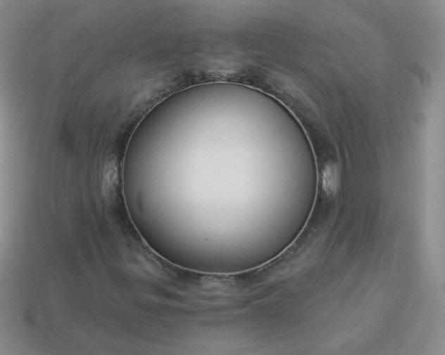 X0000114161299200910221559