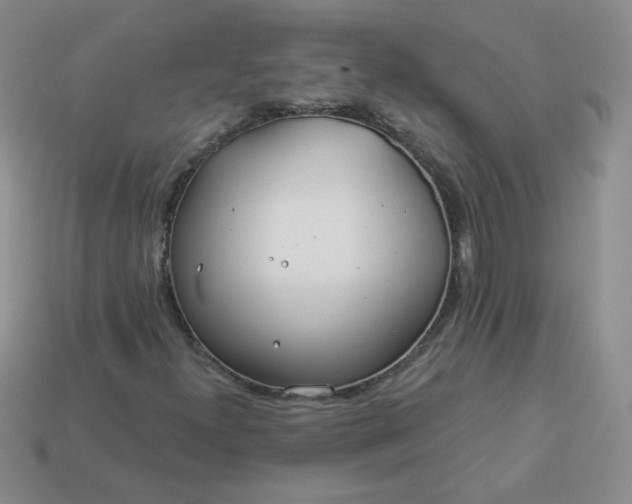 X0000114161300200910221559