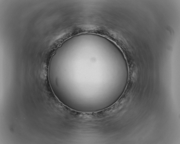 X0000114161301200910221559