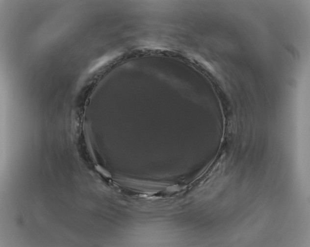 X0000114161303200910221559