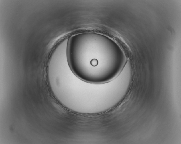 X0000114161304200910221559