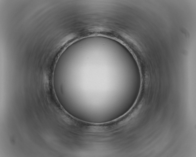 X0000114161305200910221559