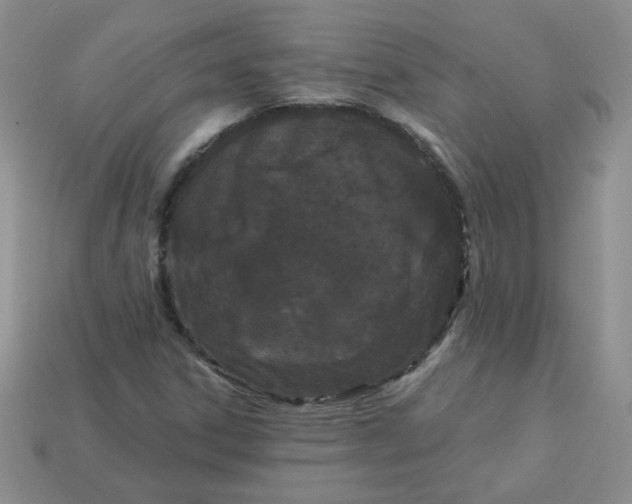 X0000114161306200910221559