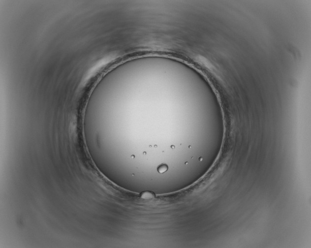 X0000114161307200910221559