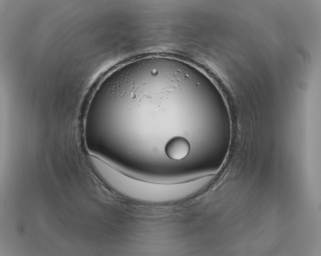 X0000114161308200910221559