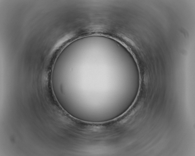 X0000114161309200910221559