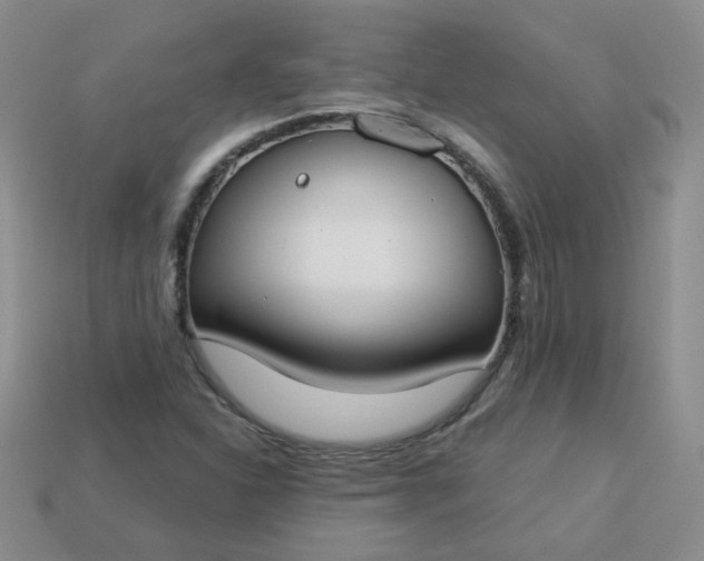 X0000114161310200910221559