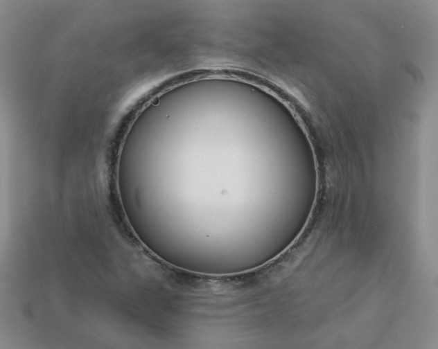 X0000114161311200910221559