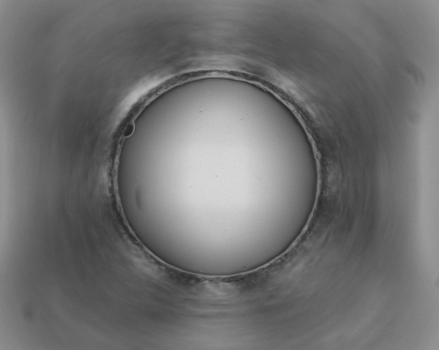 X0000114161312200910221559