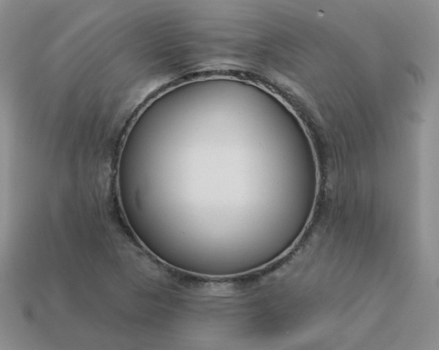 X0000114161313200910221559