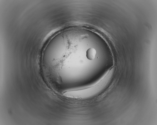 X0000114161314200910221559