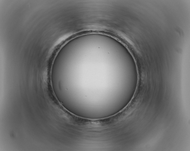 X0000114161315200910221559