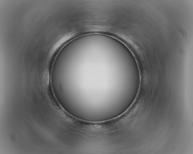 X0000114161317200910221559