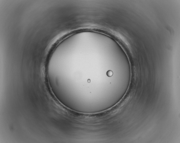 X0000114161318200910221559