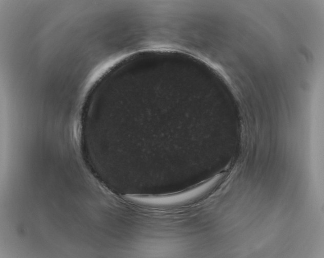 X0000114161319200910221559