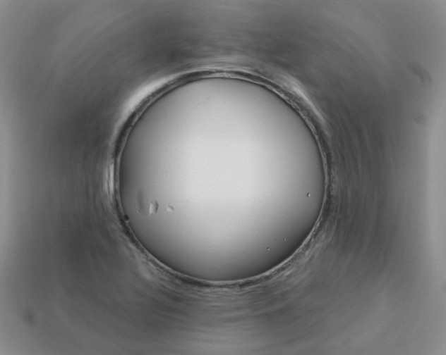 X0000114161320200910221559