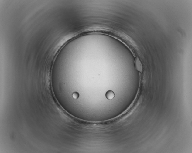 X0000114161321200910221559