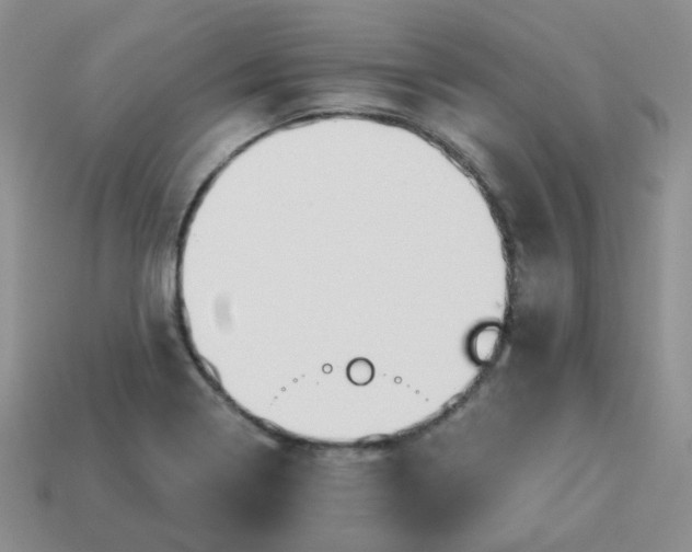 X0000114161322200910221559