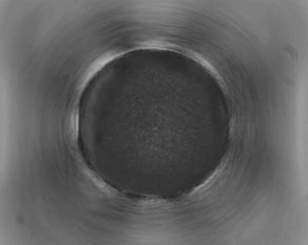 X0000114161323200910221559