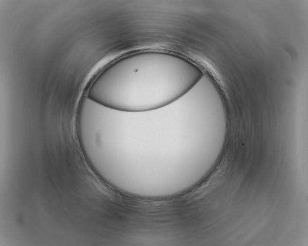 X0000114161324200910221559