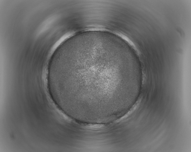 X0000114161325200910221559