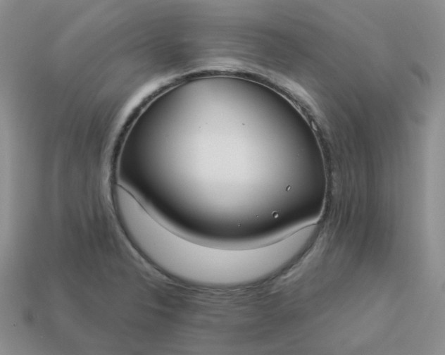 X0000114161326200910221559