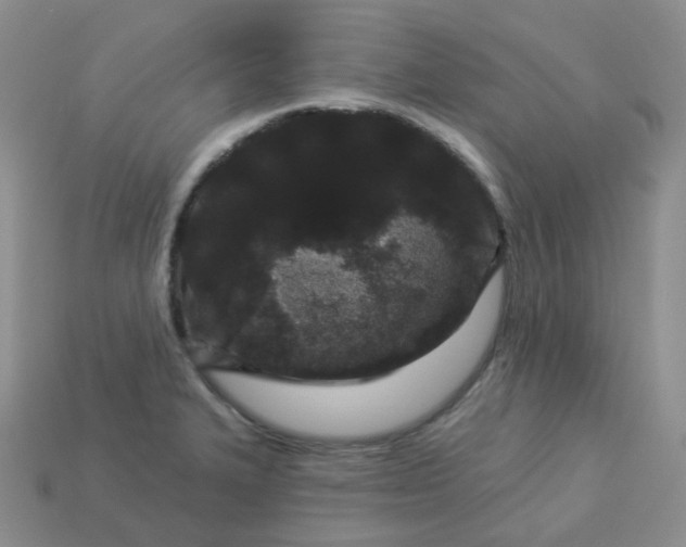 X0000114161327200910221559