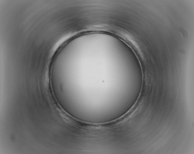 X0000114161328200910221559