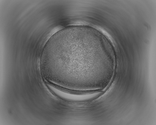 X0000114161329200910221559