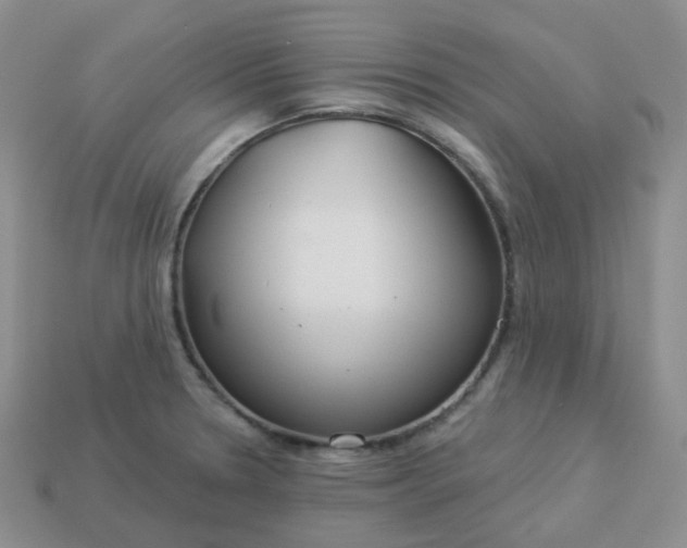 X0000114161330200910221559