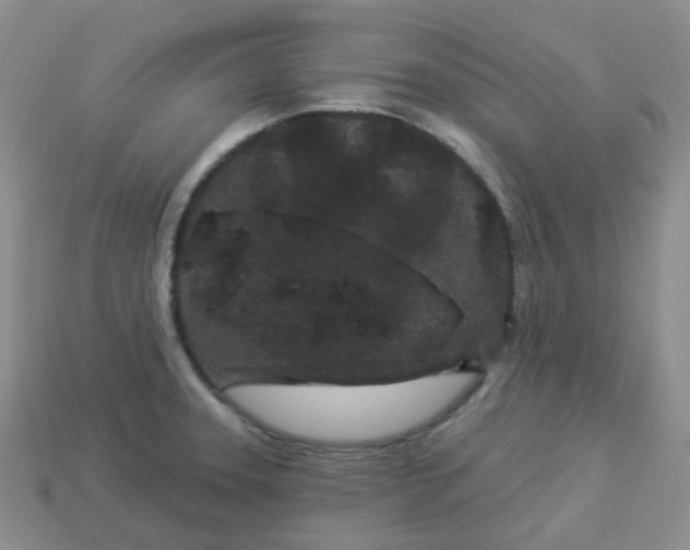 X0000114161331200910221559