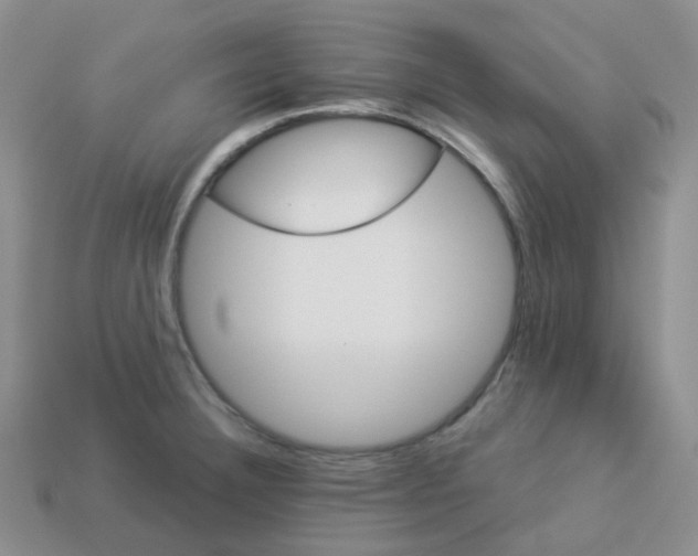 X0000114161332200910221559