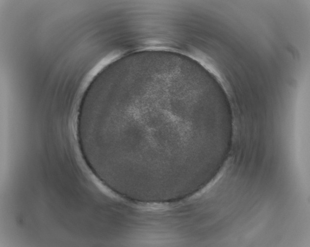 X0000114161333200910221559