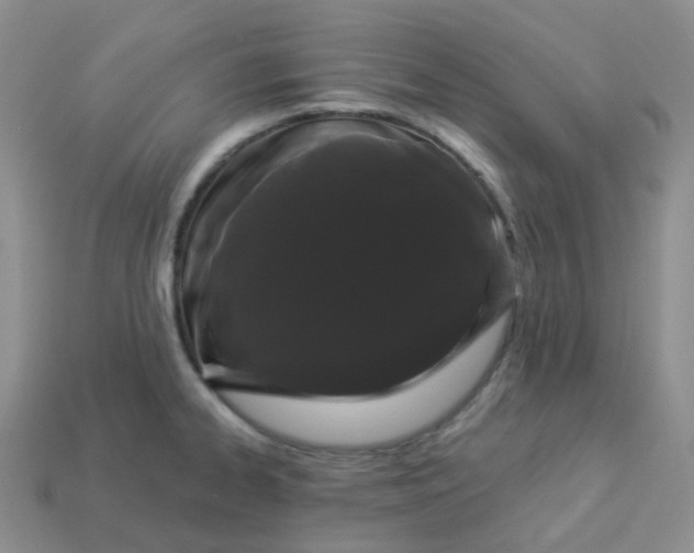 X0000114161334200910221559