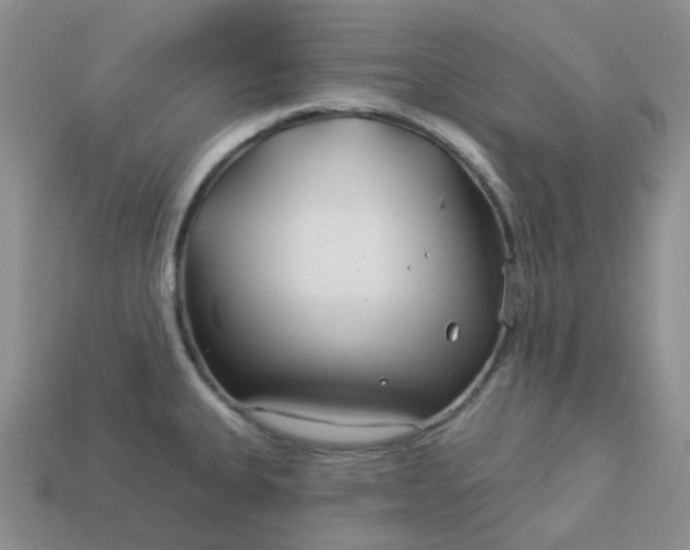 X0000114161335200910221559