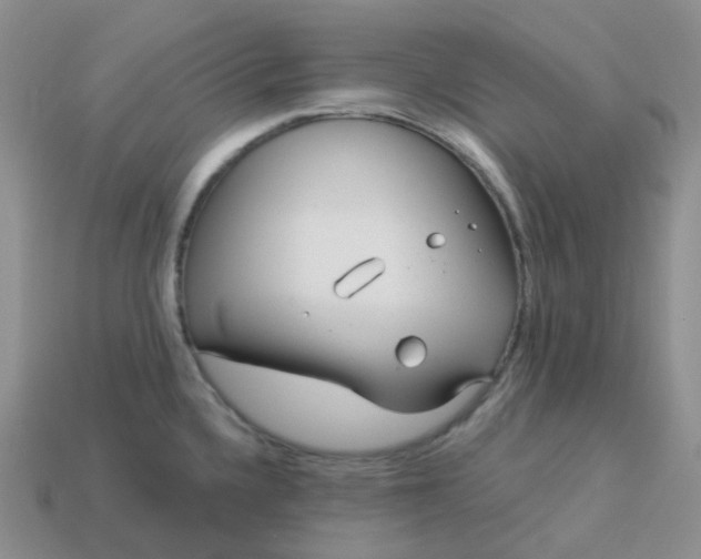 X0000114161336200910221600