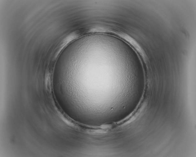 X0000114161337200910221600