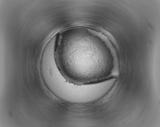 X0000114161338200910221600