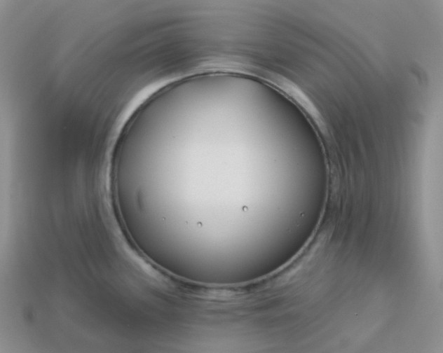 X0000114161339200910221600