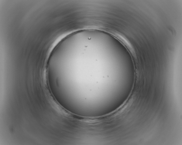 X0000114161340200910221600