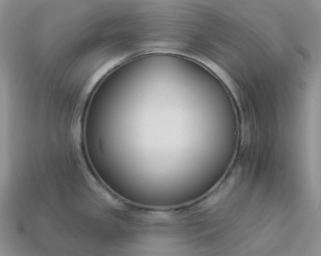 X0000114161341200910221600