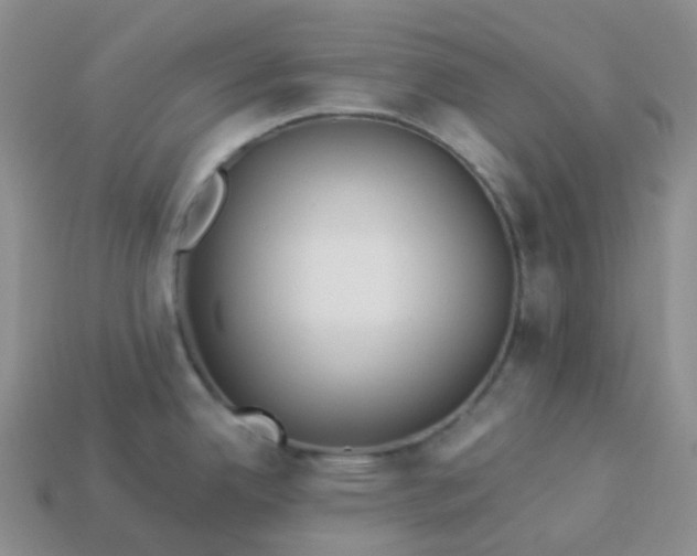 X0000114161342200910221600