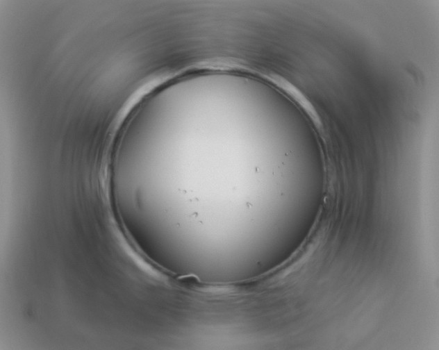 X0000114161343200910221600