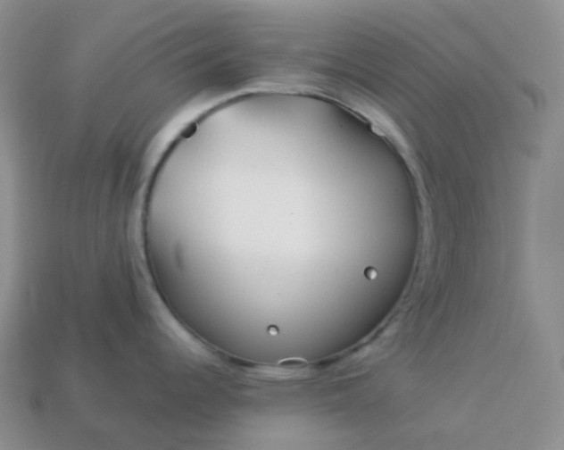 X0000114161344200910221600